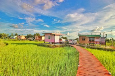 Scenic view of agricultural field by houses against sky