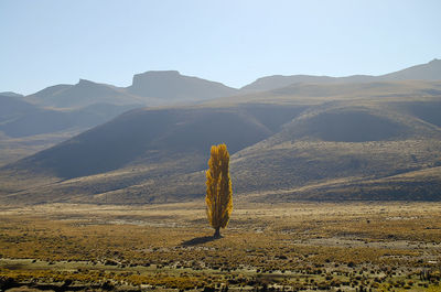 Scenic view of desert against sky