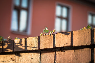 Close-up of brick wall