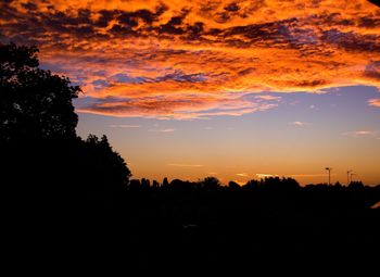 Silhouette of trees on landscape at sunset