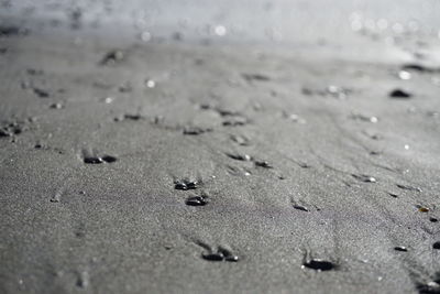 Close-up of wet sand on beach