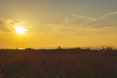 Scenic view of landscape against sky during sunset