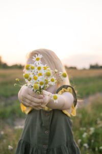 A little blonde girl is sitting walking on a chamomile field and collecting a bouquet of flowers. 