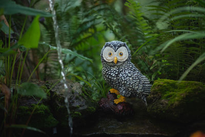 Portrait of owl against plants