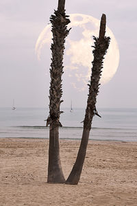 Wooden post on beach against sky