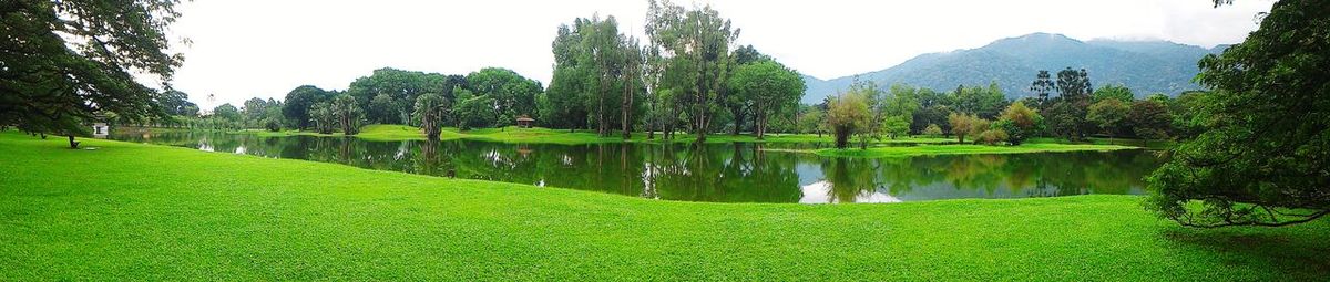 Reflection of trees in lake