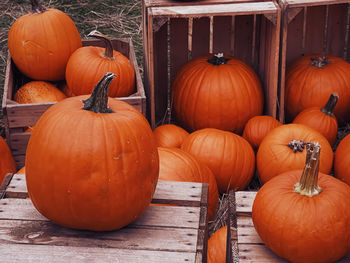 High angle view of pumpkins for sale