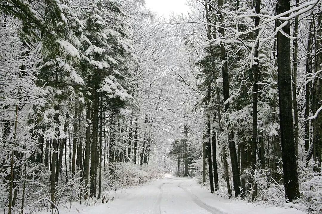 St-Gabriel-de-Valcartier