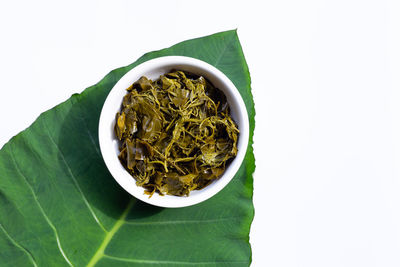 High angle view of fresh green leaves against white background