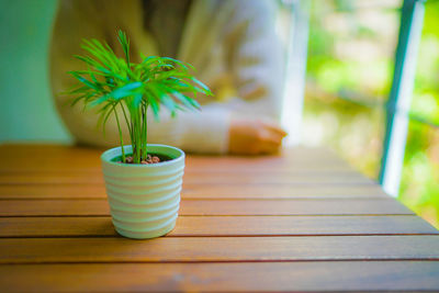 Close-up of potted plant