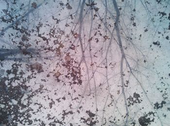 Full frame shot of textured wall