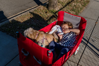 Sleepy child riding in a wagon with a small dog