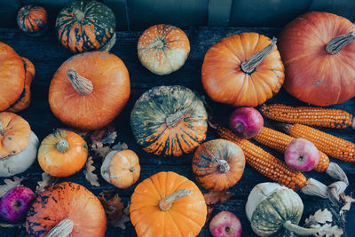 Full frame shot of pumpkins