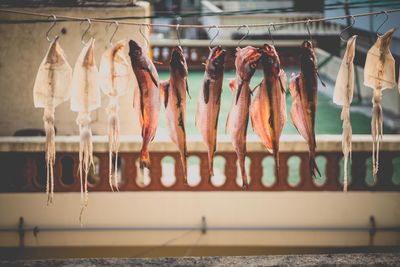 Row of fish on hooks