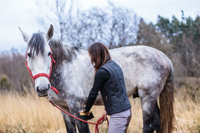 Horse standing on field