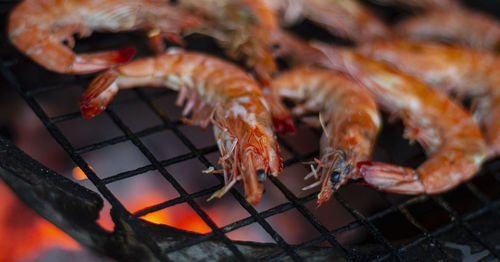 Close up shrimp on the grill