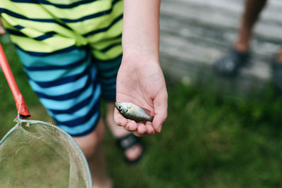 Midsection of man holding snail