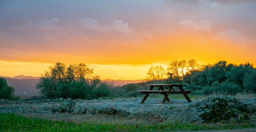 Scenic view of field against sky during sunset