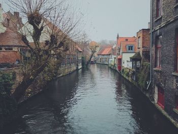 Canal amidst trees against sky