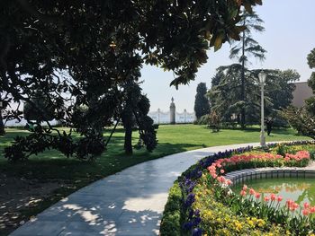 Trees and plants in park