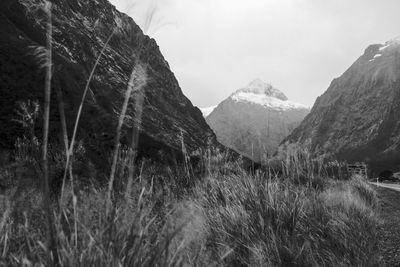 Snowy mountains on the way to milford sound, new zealand