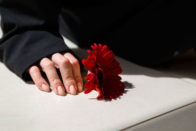 Cropped hand of woman holding flower