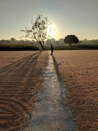 Silhouette boy standing on field against sky during sunset