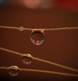 Close-up of water drop