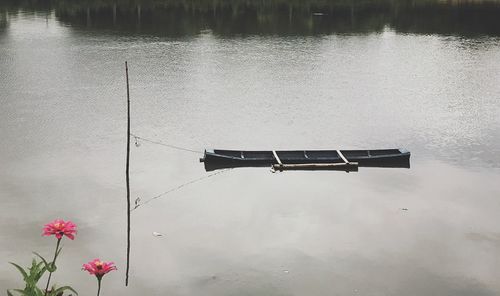 High angle view of red floating on water