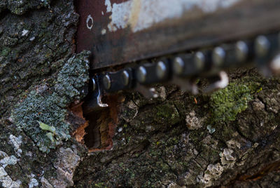 Close-up of rusty metal