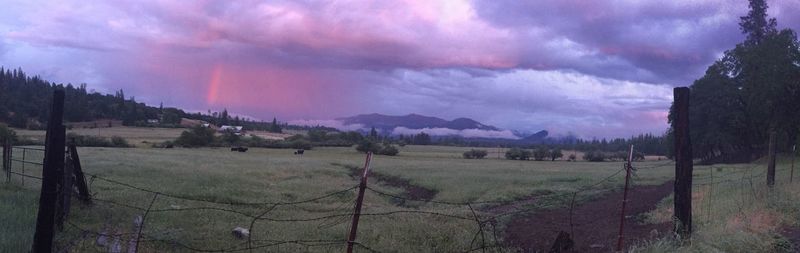 Scenic view of field against cloudy sky