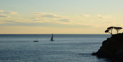 Sailboats at sunset. sestri levante. liguria. italy