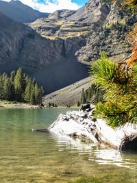 Scenic view of lake and mountains