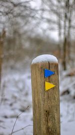 Close-up of snow on wooden post