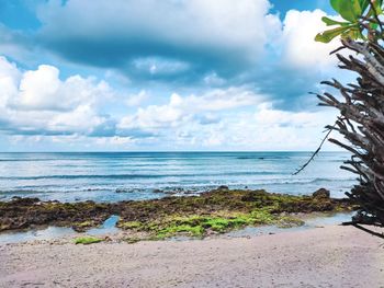 Scenic view of beach against sky