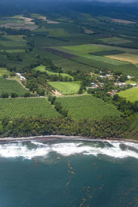 Scenic view of agricultural field