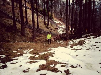 Full length of people walking in forest