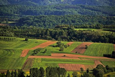 High angle view of agricultural field against sky