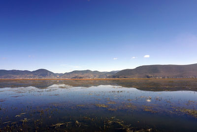 Scenic view of lake against clear blue sky