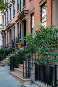 Potted plants on footpath against building