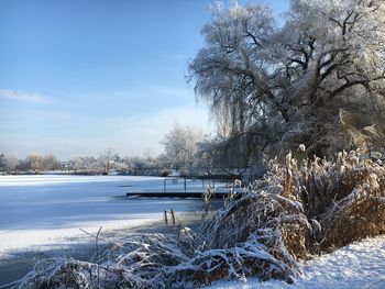 Scenic view of snow covered landscape