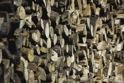 Full frame shot of wood blocks in forest