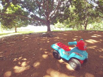 Close-up of toy car on tree