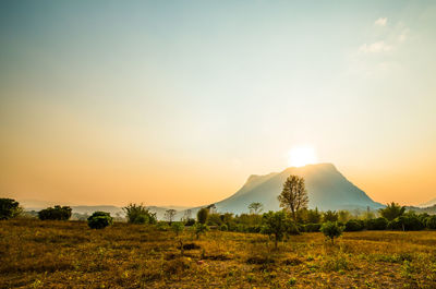 Scenic view of field against sky during sunset