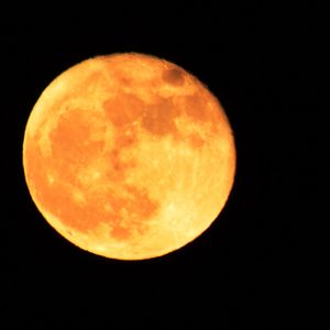 Low angle view of moon against sky at night