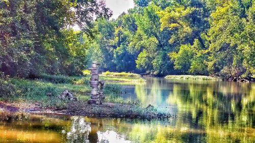 Scenic view of lake with trees in background