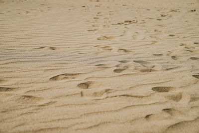 High angle view of footprints on sand at beach