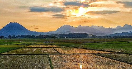 Scenic view of field against sky at sunset