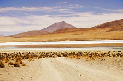 Scenic view of desert against sky