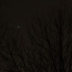 Low angle view of bare tree against sky at night